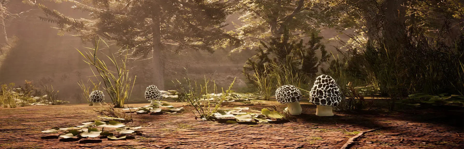 Morels: The Hunt background