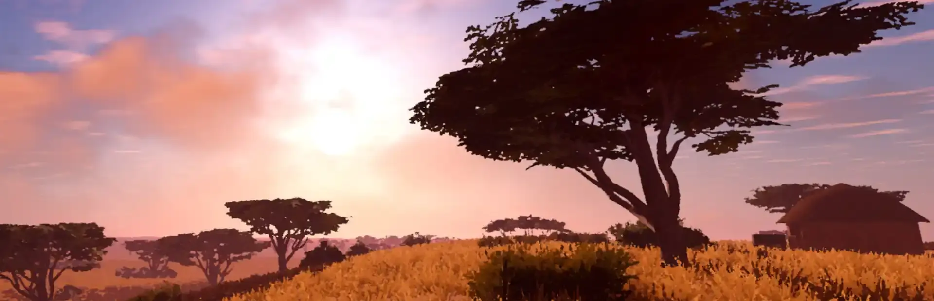 Red Tears: Angola background
