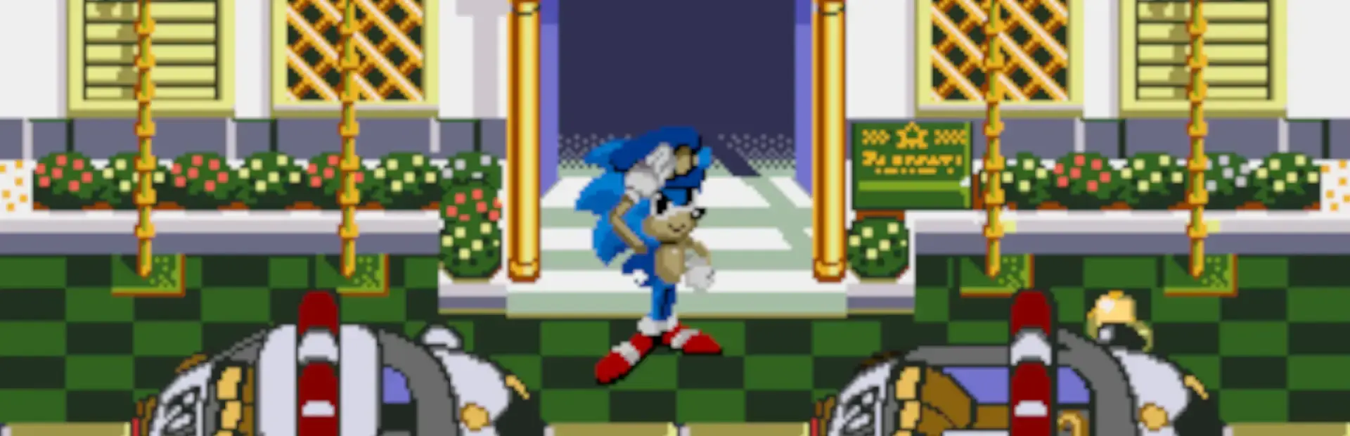 Waku-waku Sonic Patrol Car background