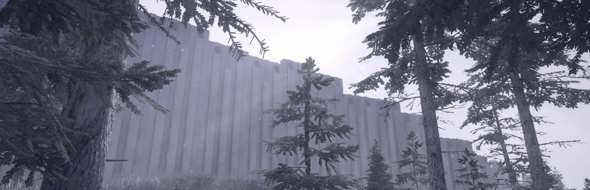 The Wall background