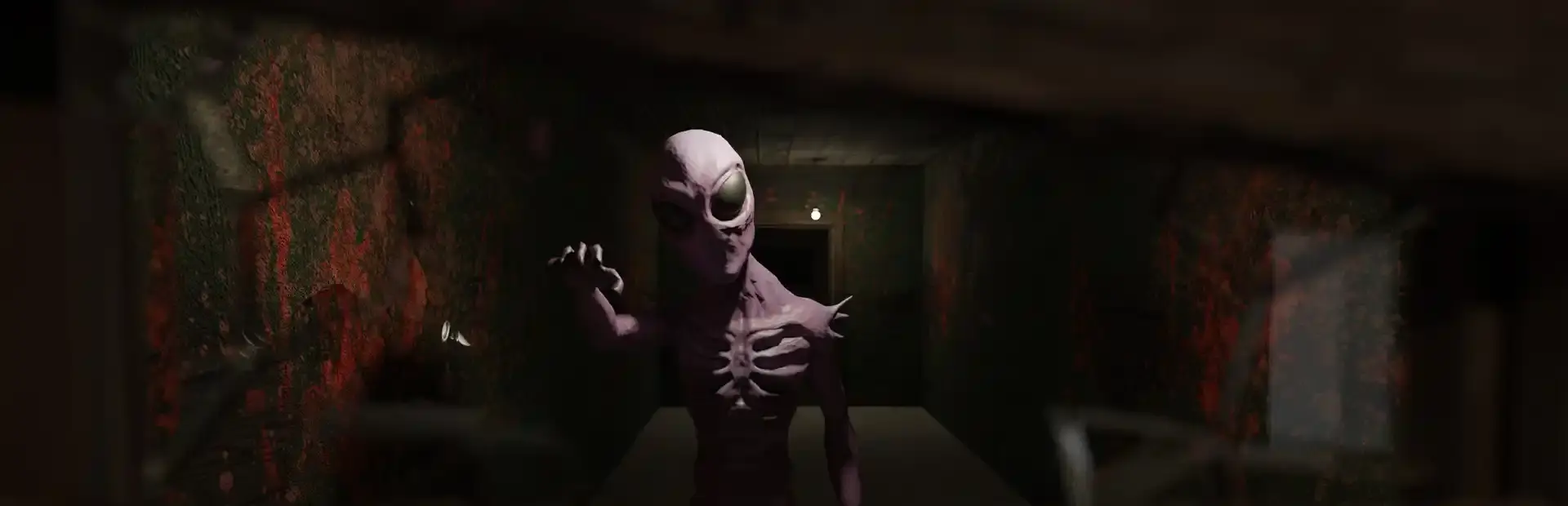 Mr. Walker's Basement background