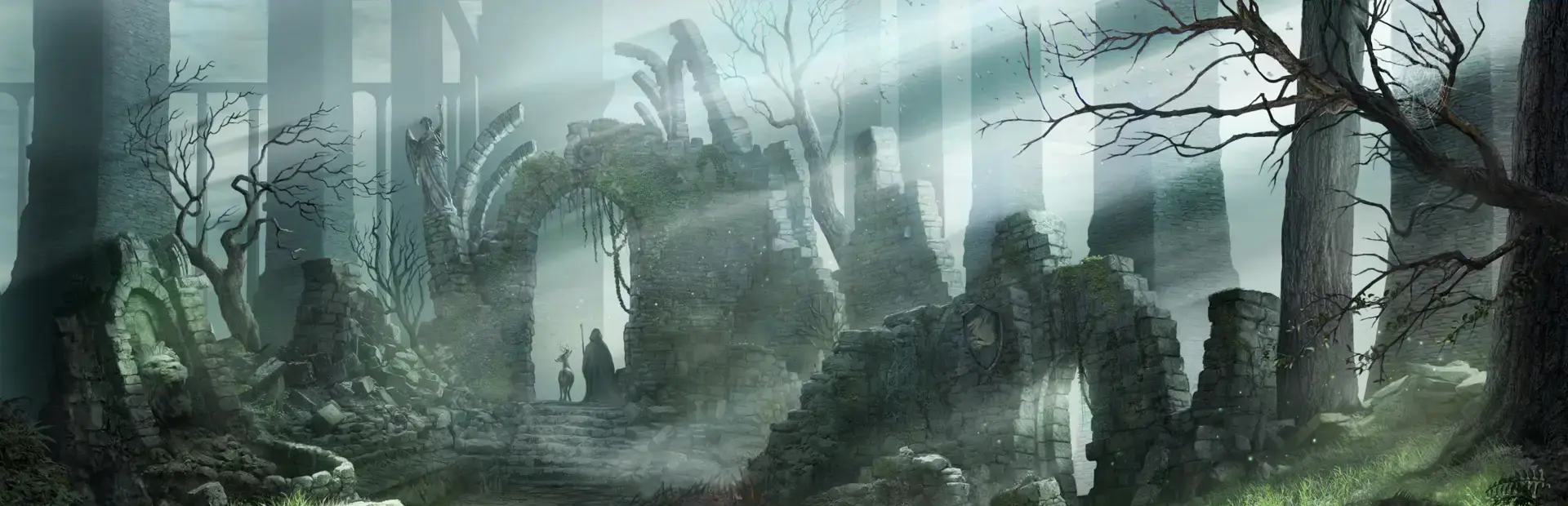 Demon's Souls: Black Phantom Edition background