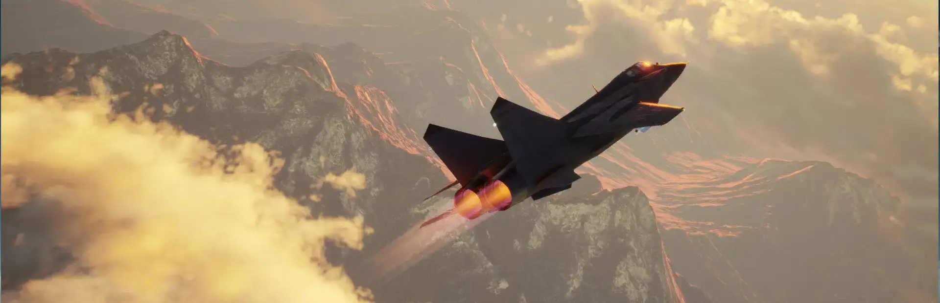 Project Wingman background