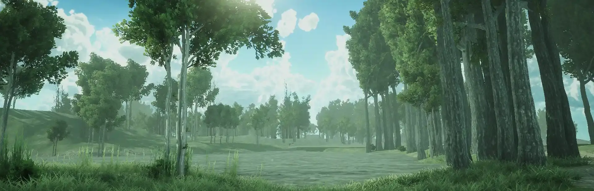 Forest Spring background