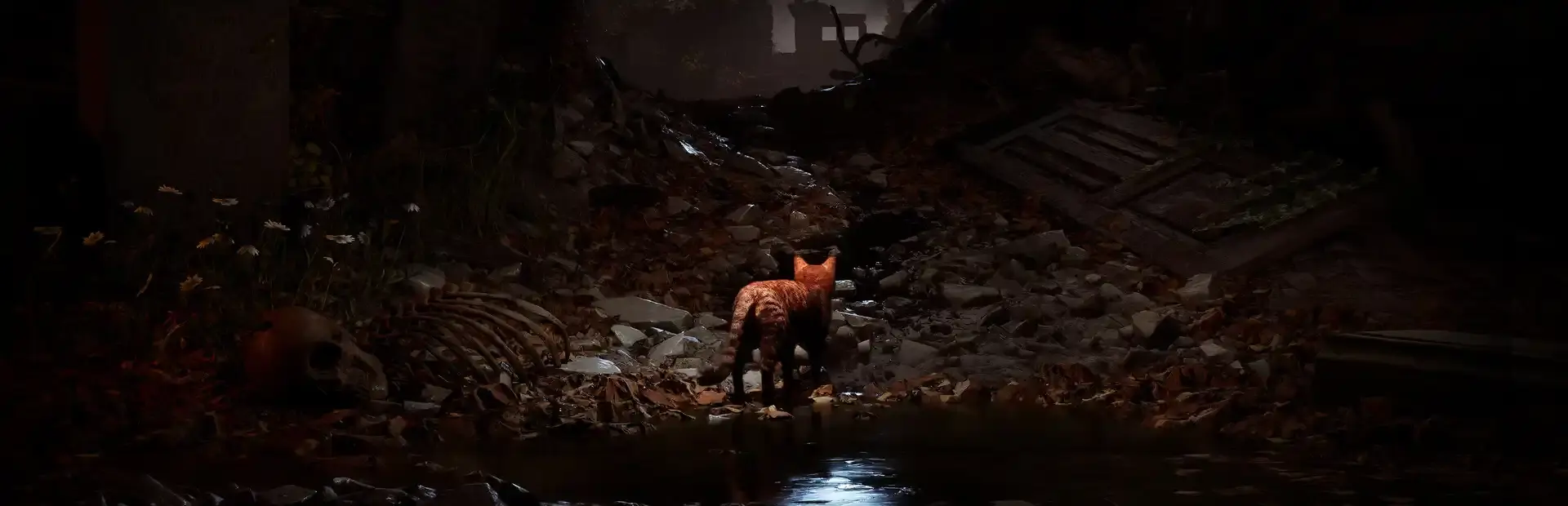 Meowmories background