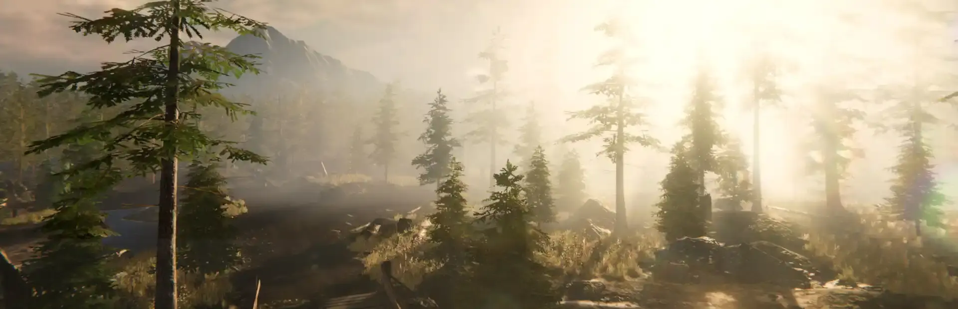 Forest Ranger Simulator background