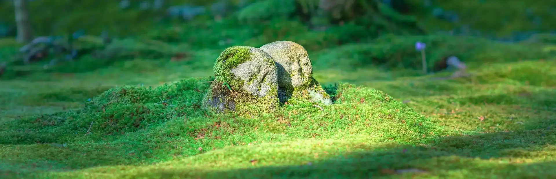 Bepuzzled Jigsaw Puzzle: Japan background