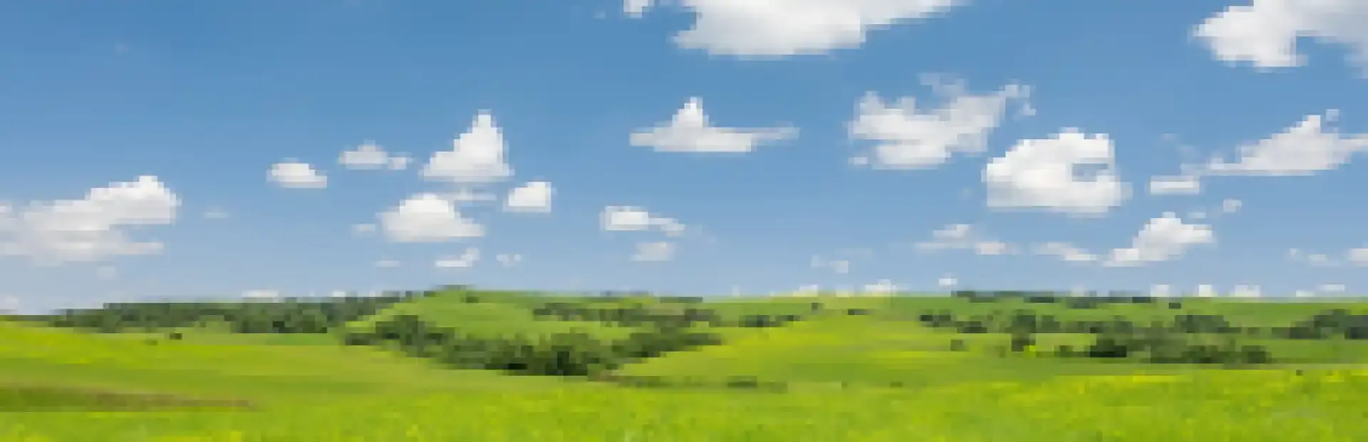 Malware Tycoon background