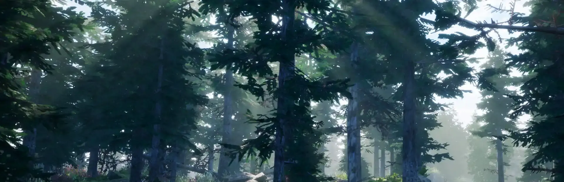 Before Nightfall: Summertime background