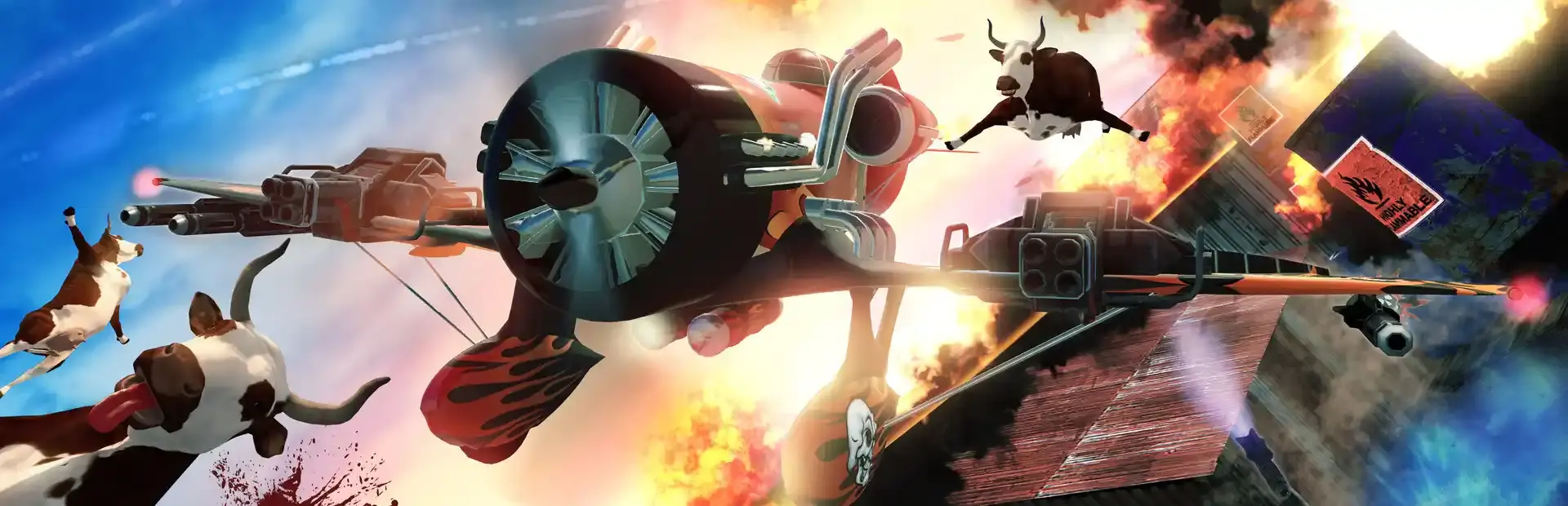 Wing Breakers background