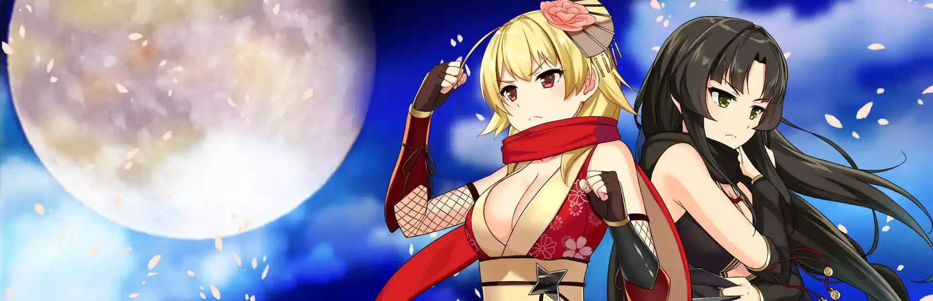 Moe! Ninja Girls background