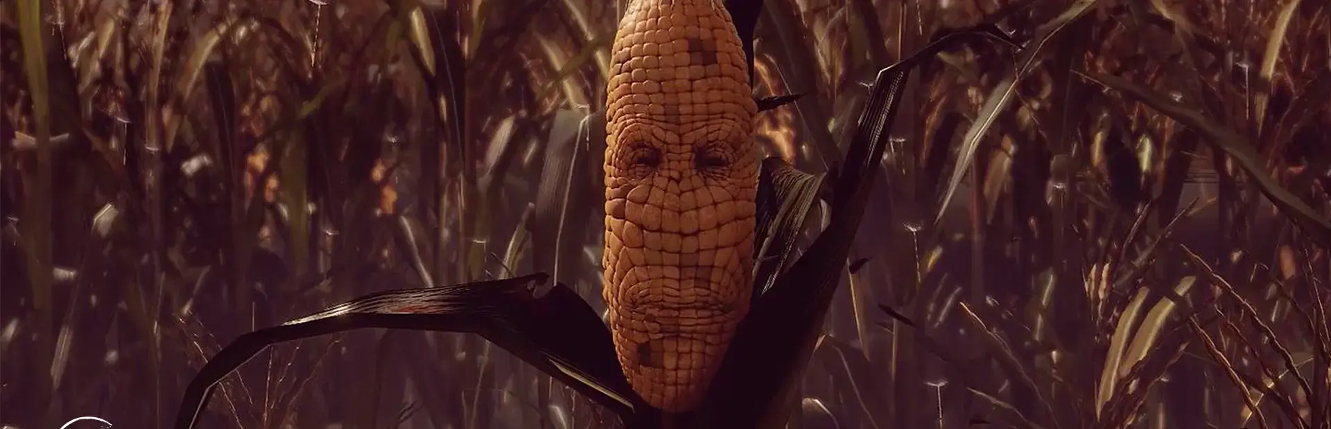 Maize background