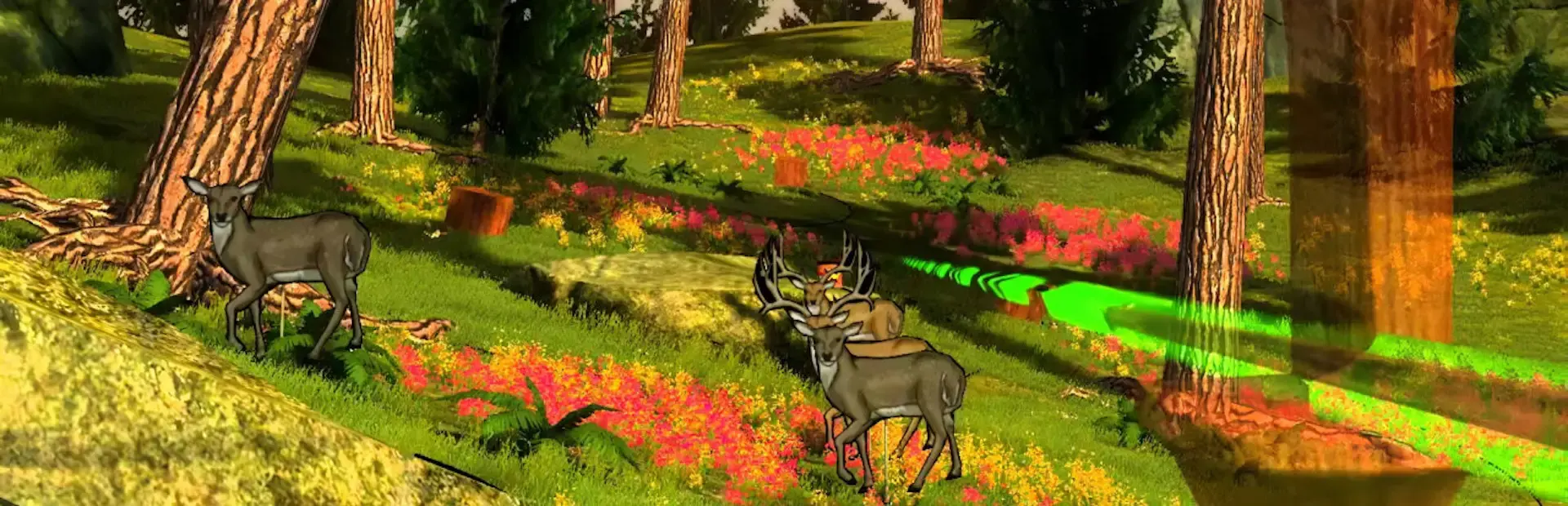 Cabela's Adventure Camp background