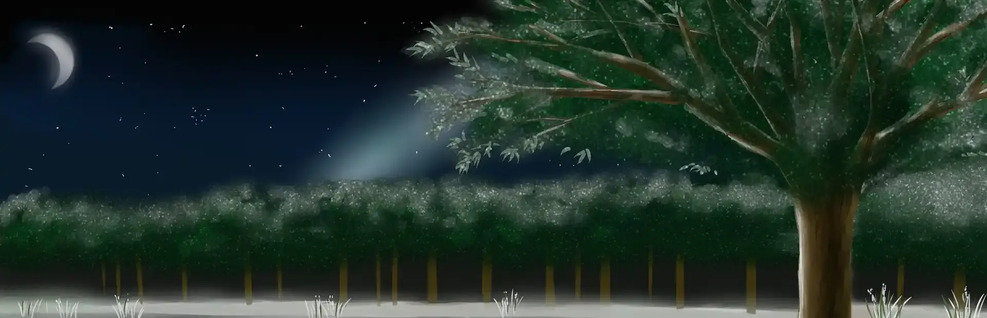 My Wet Leto Comic background