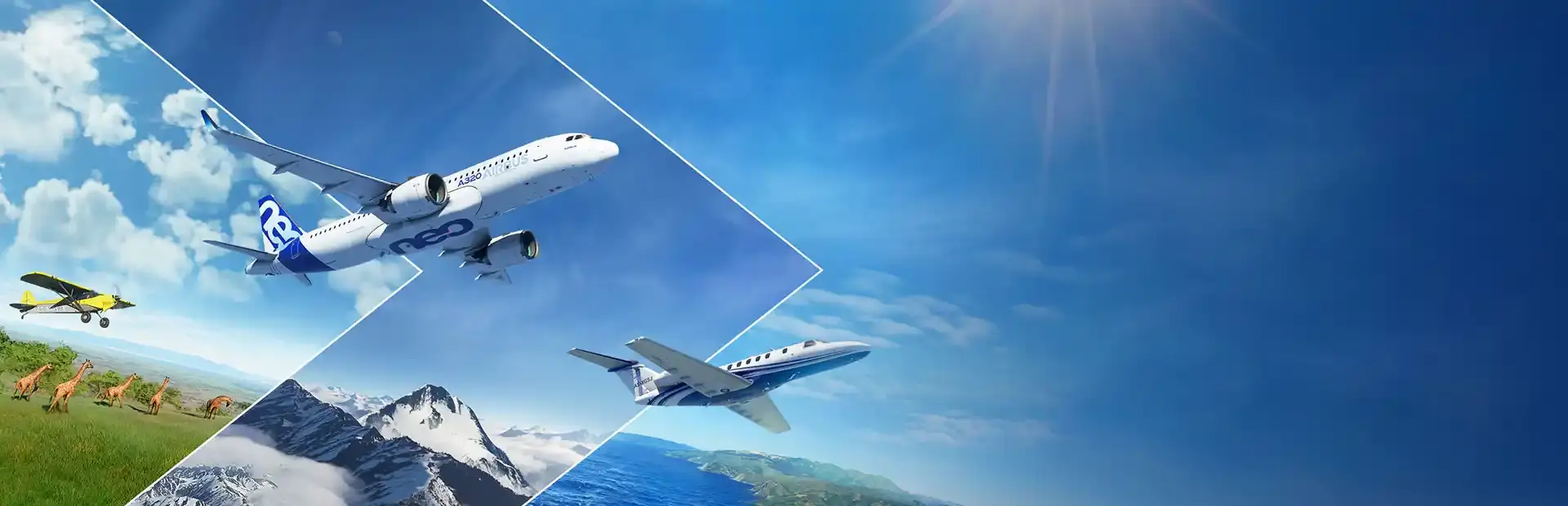 Microsoft Flight Simulator background