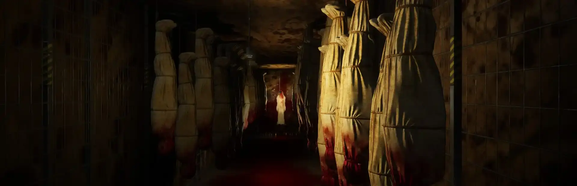 Hidden Shelter background