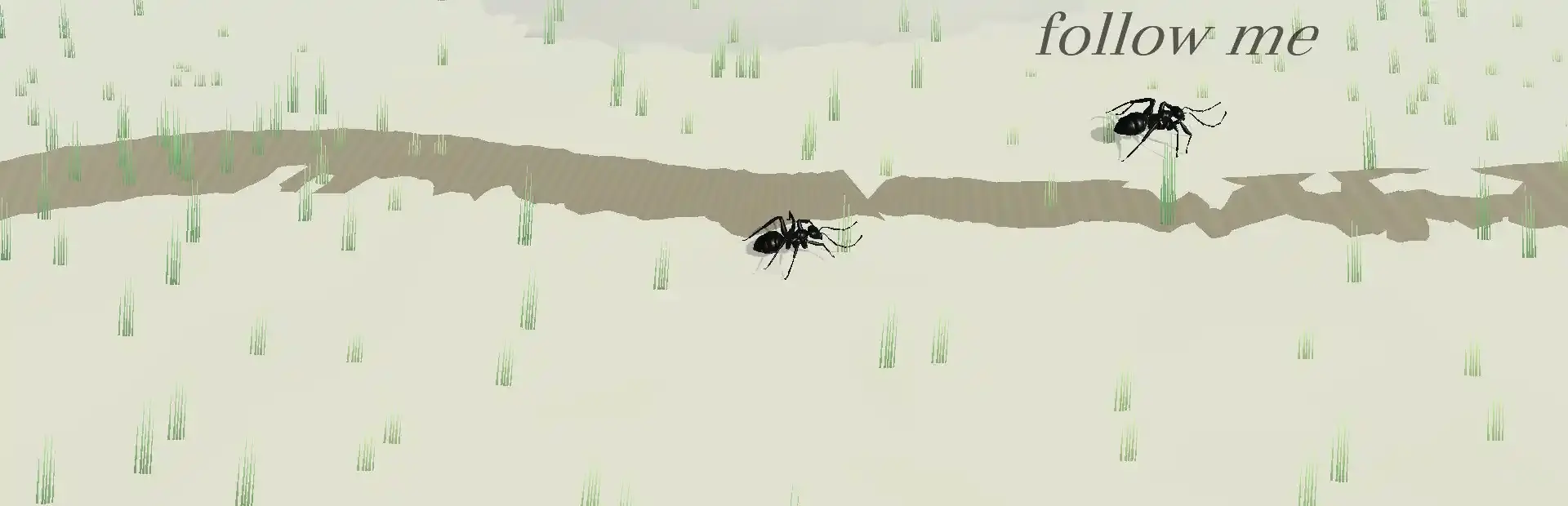 New Colony background