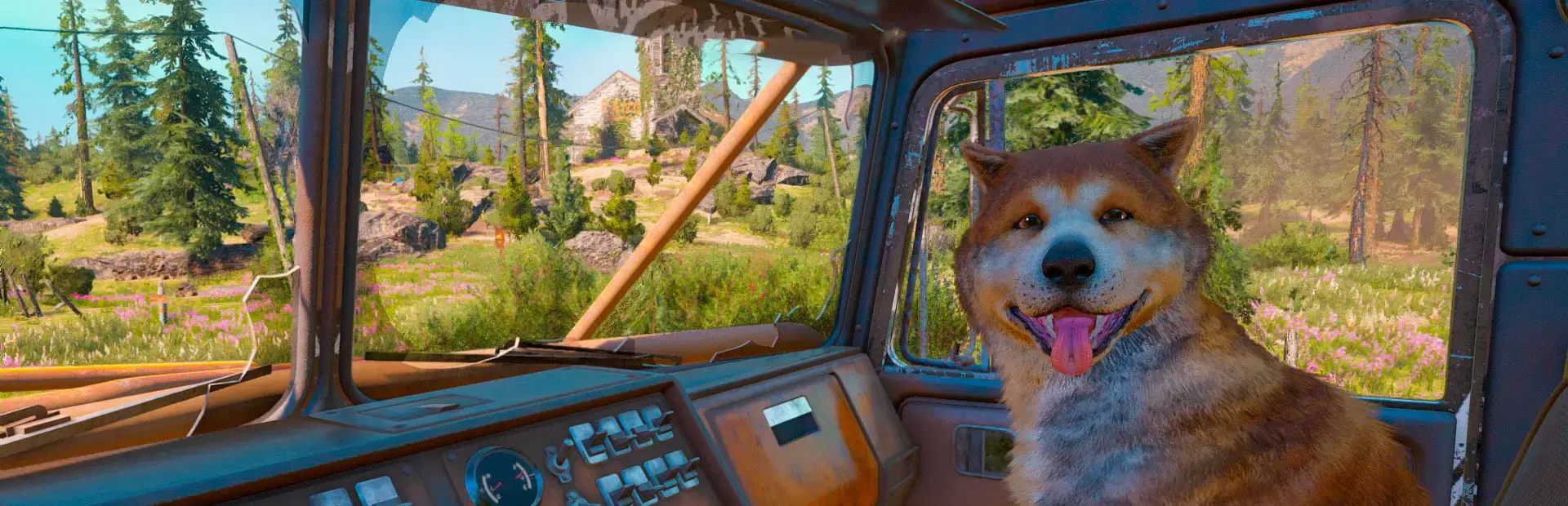 Far Cry New Dawn background