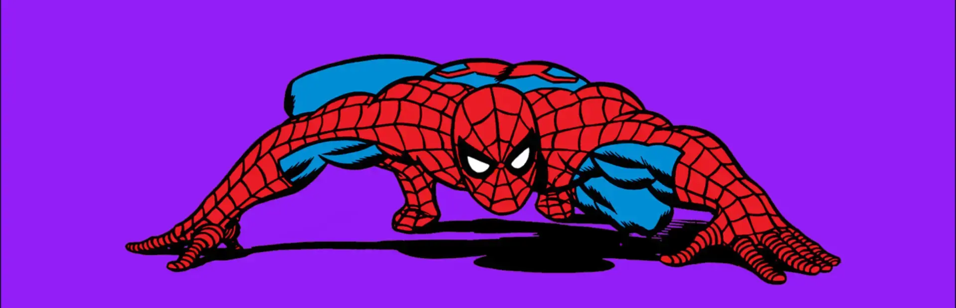 Spider-Man: The Video Game background