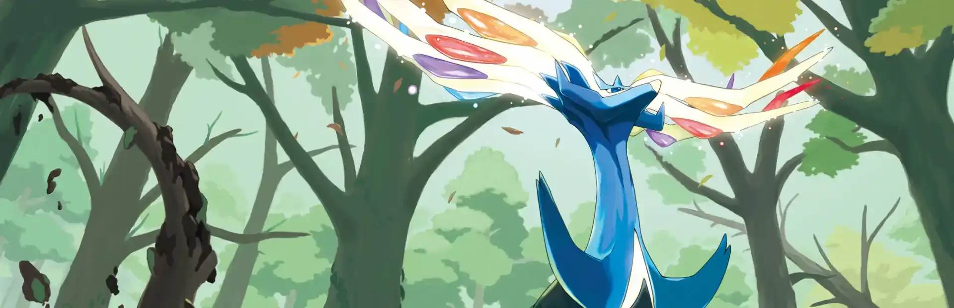 Pokémon X background