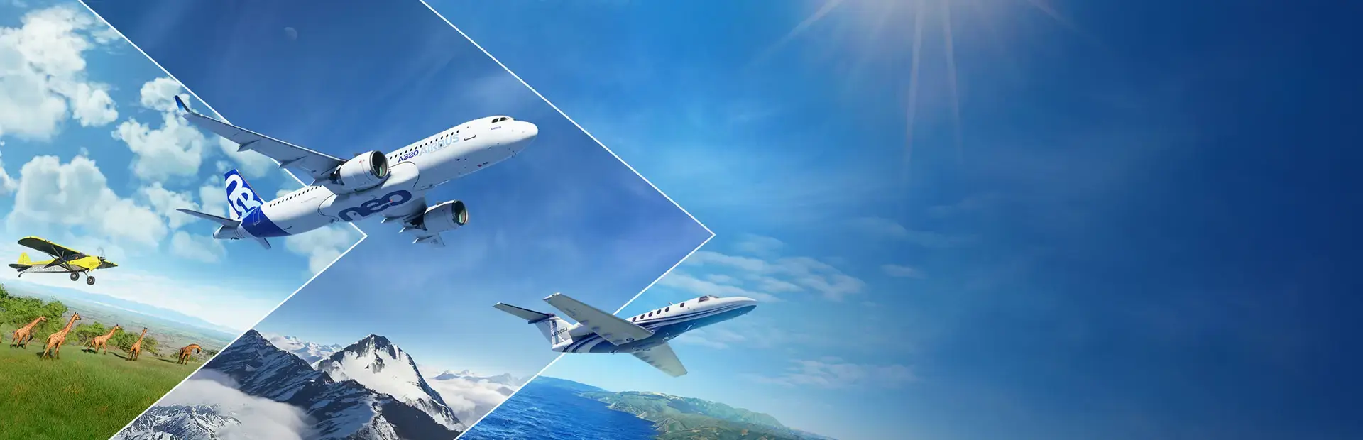 Microsoft Flight Simulator: Deluxe 40th Anniversary Edition background