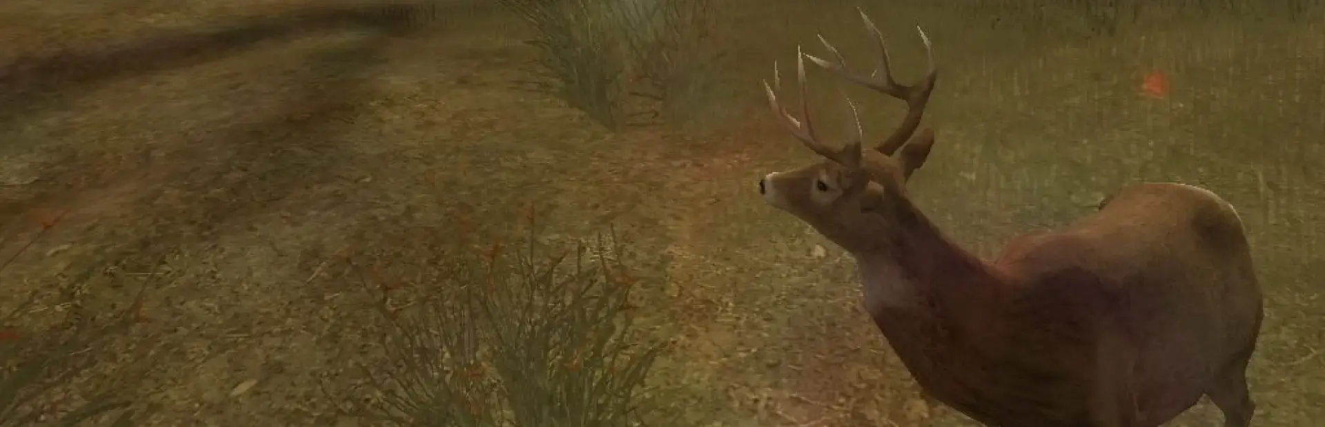 Cabela's Deer Hunt: 2004 Season background