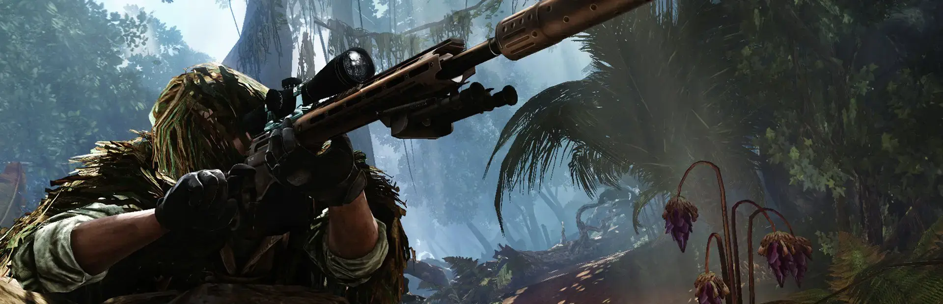 Sniper: Ghost Warrior 2 - Collector's Edition background