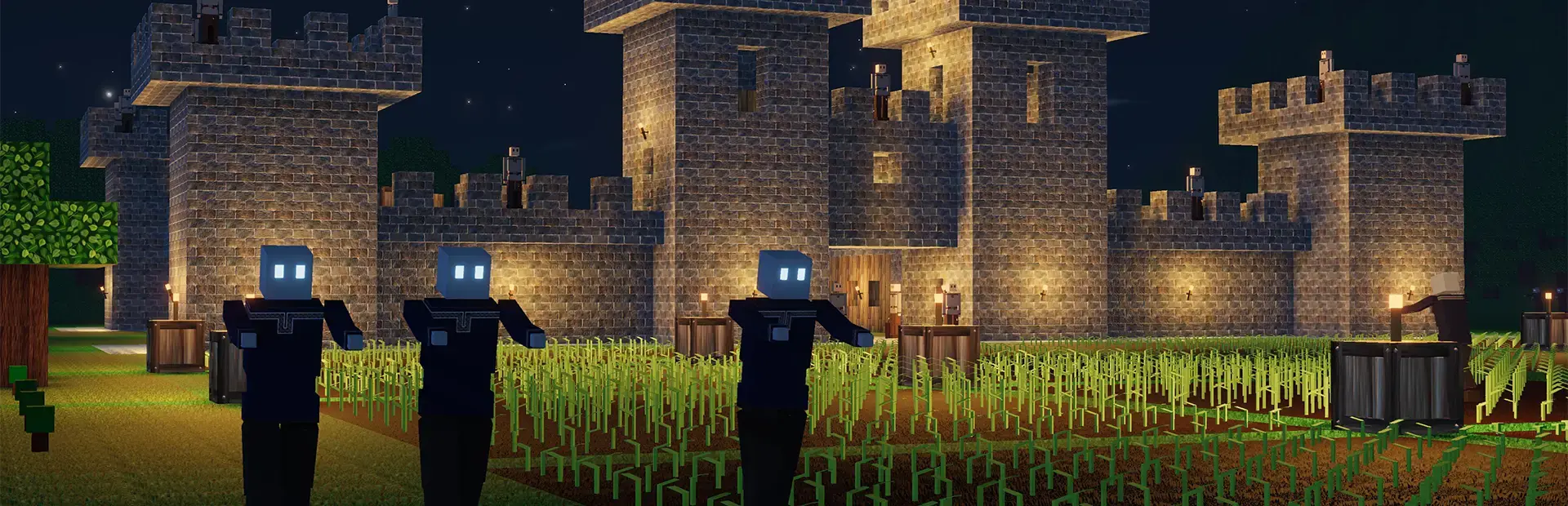 Colony Survival background