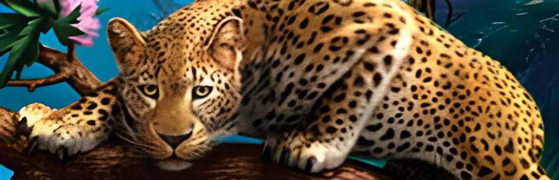 Animal Genius background