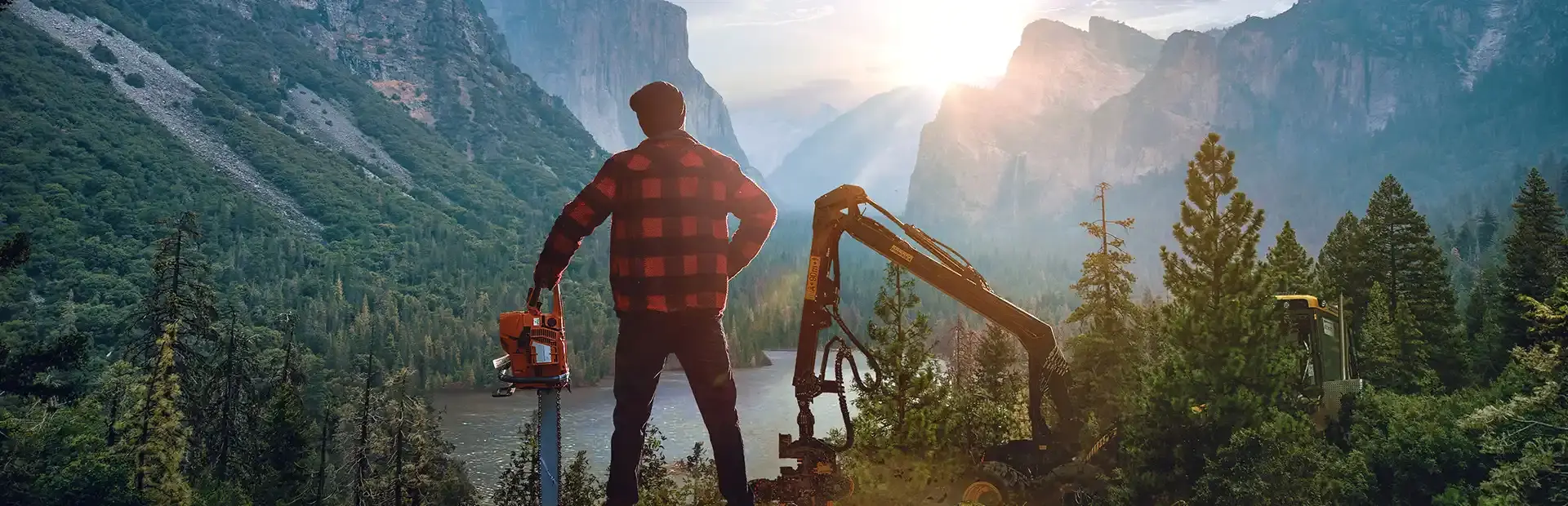 Lumberjack's Dynasty background
