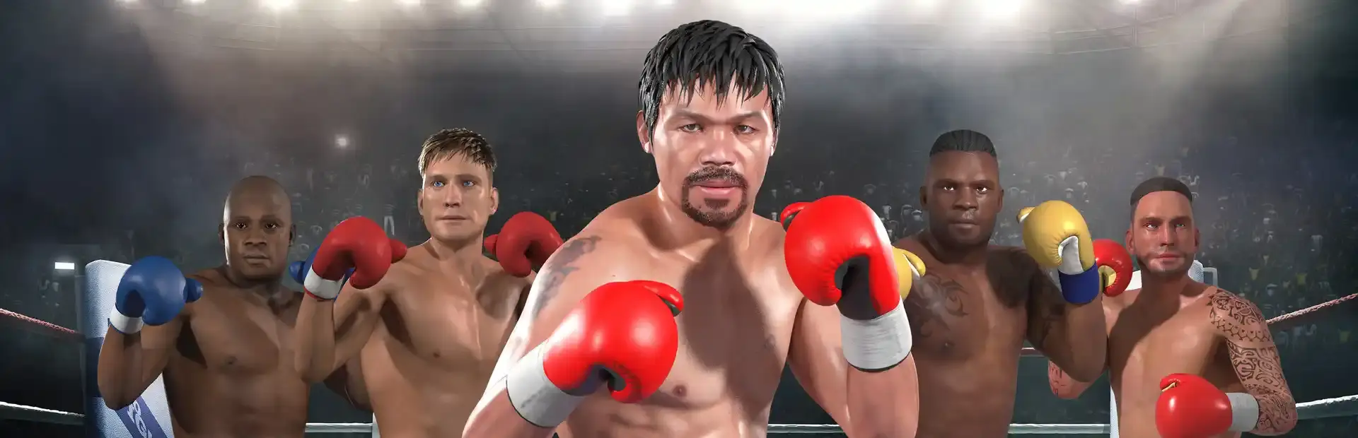 Manny Boxing VR background