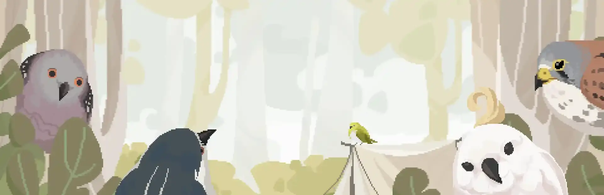 Birdwatching Notebook background