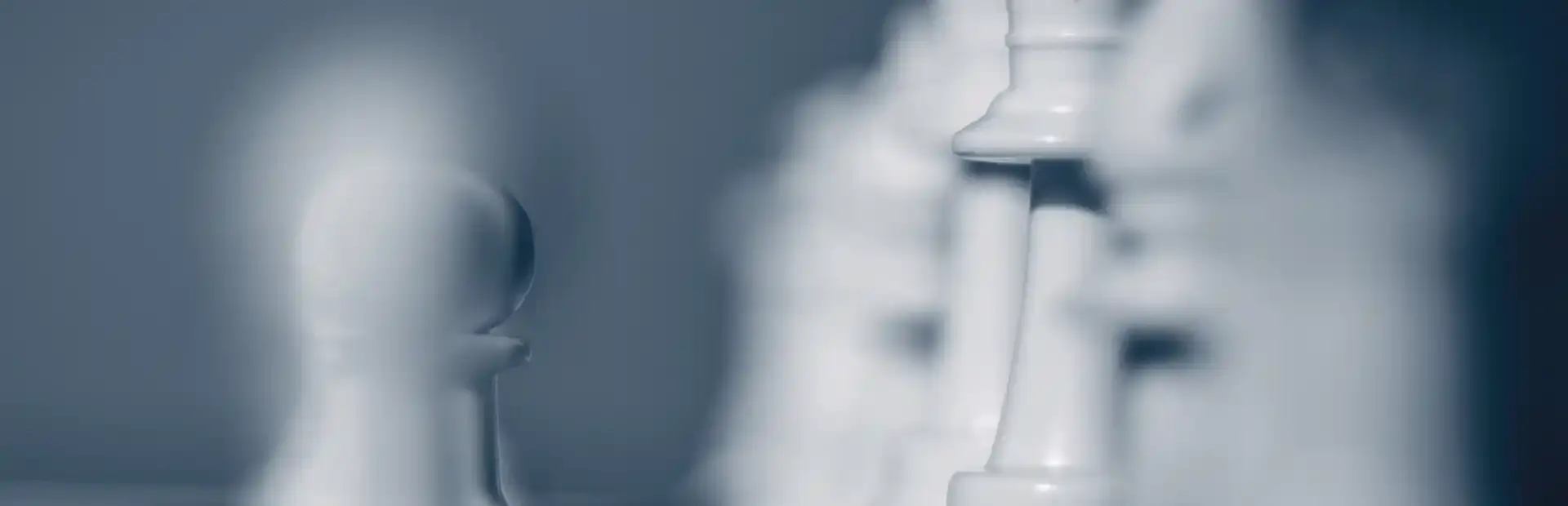 Fritz: Your Chess Coach background