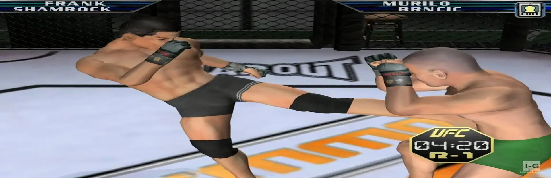 UFC: Throwdown background