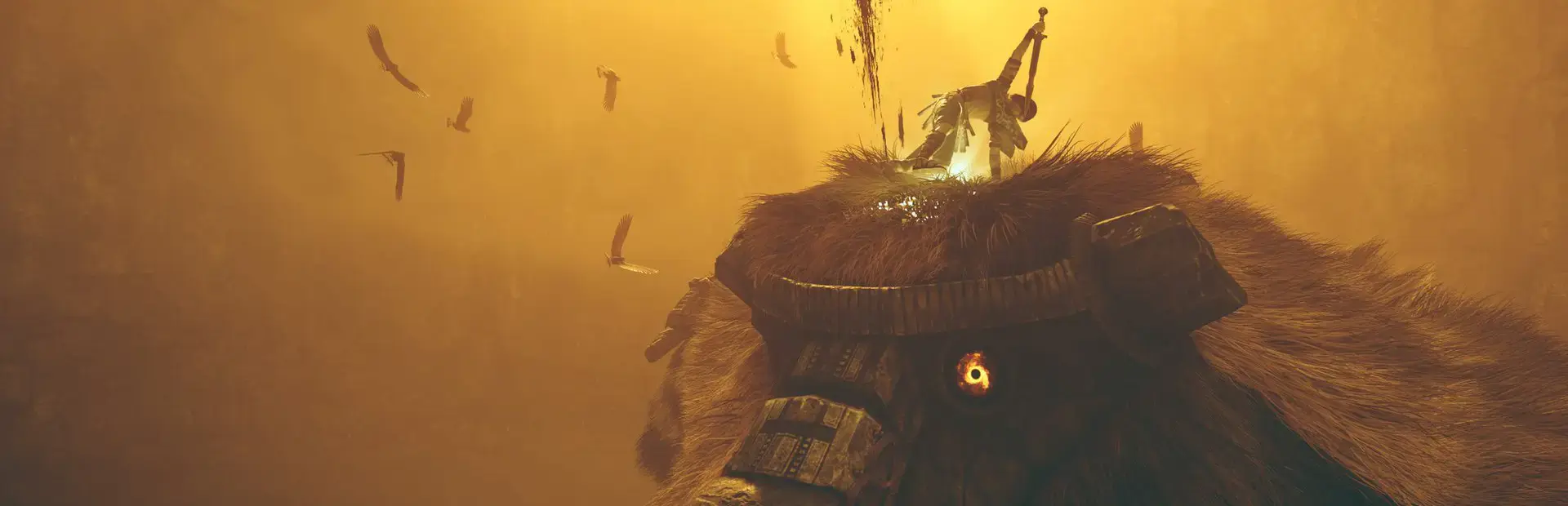Shadow of the Colossus background