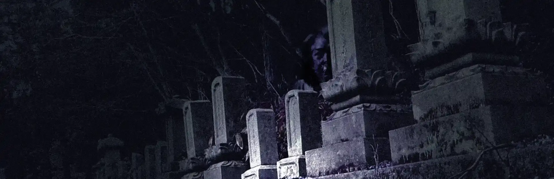 Shisya 2: Ghost Video background
