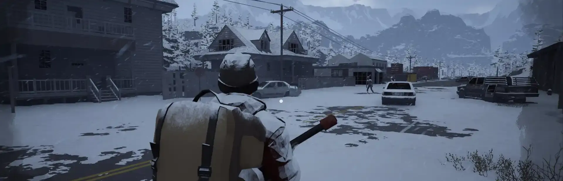 Winter Survivor Protocol background