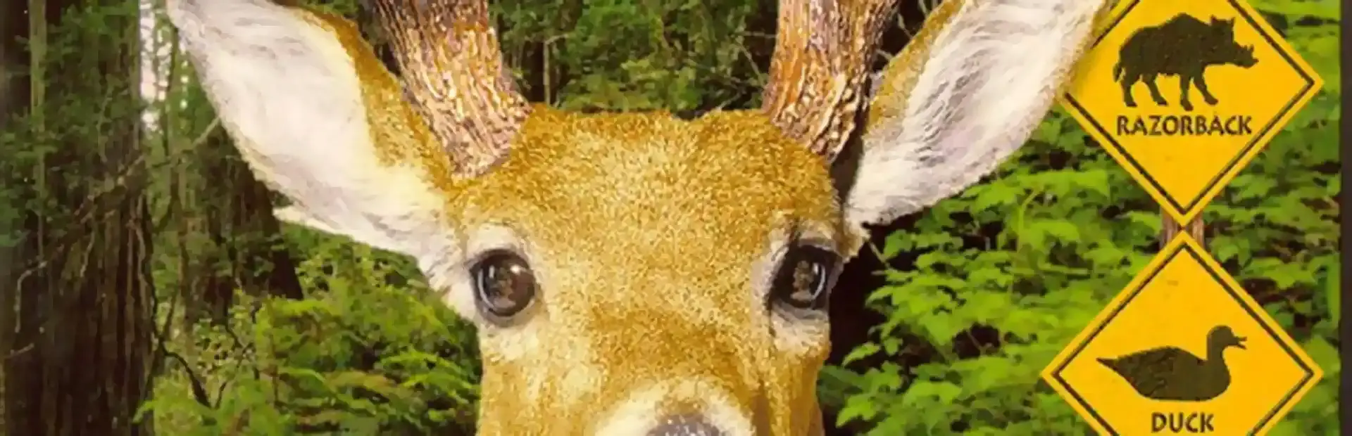 Redneck Deer Huntin' background