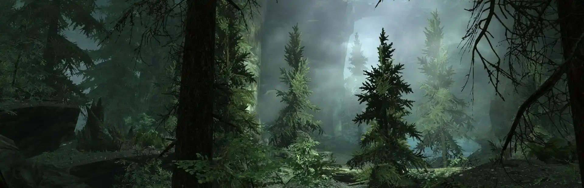 The Forest background