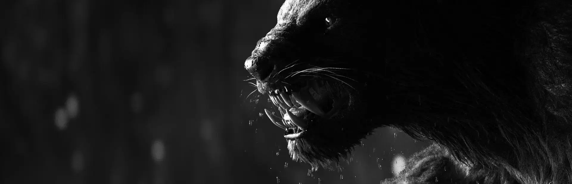 Wild Life background