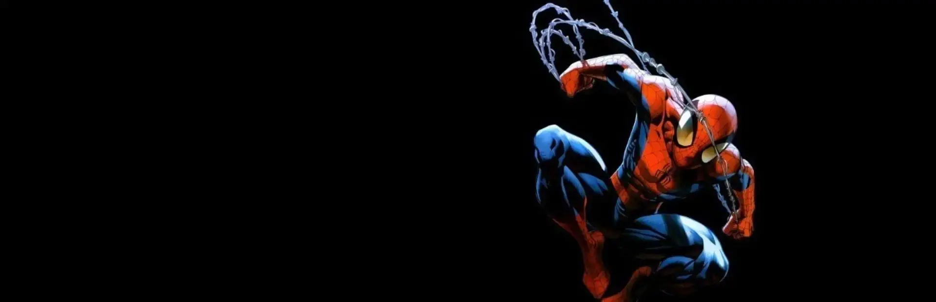 Spider-Man: Battle for New York background