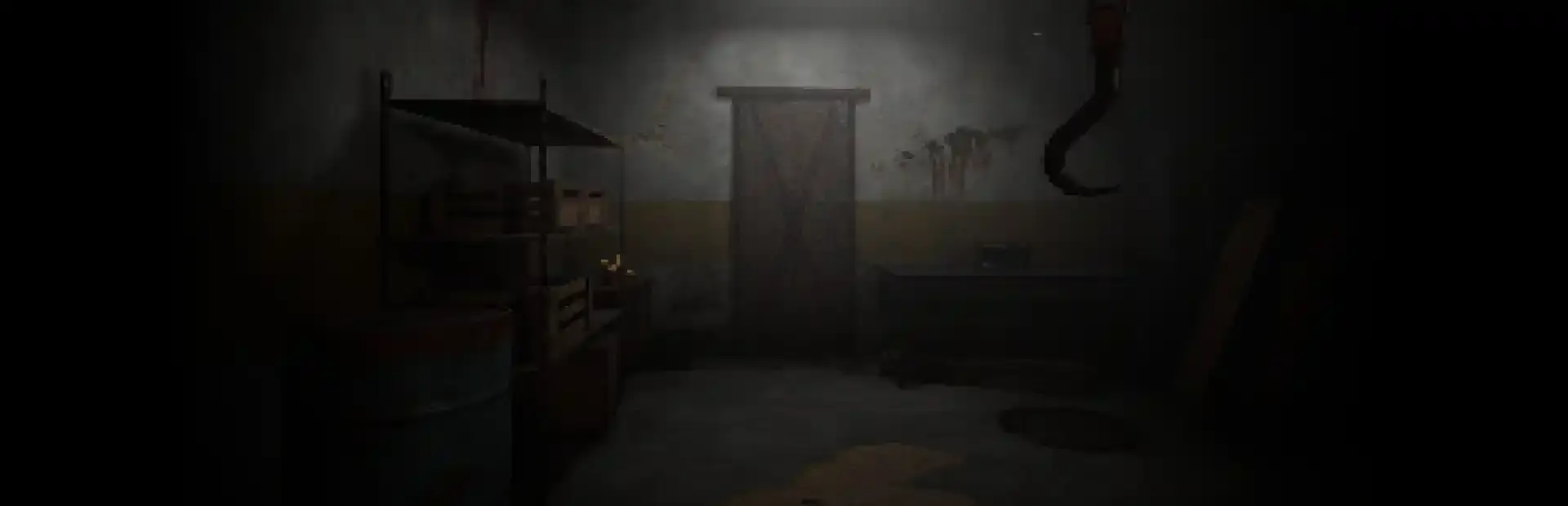 The Door in the Basement background