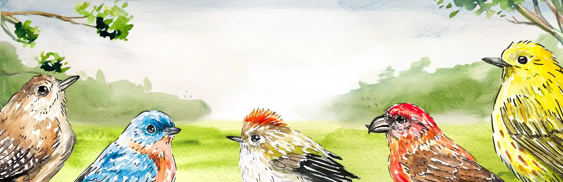 Birdfull background