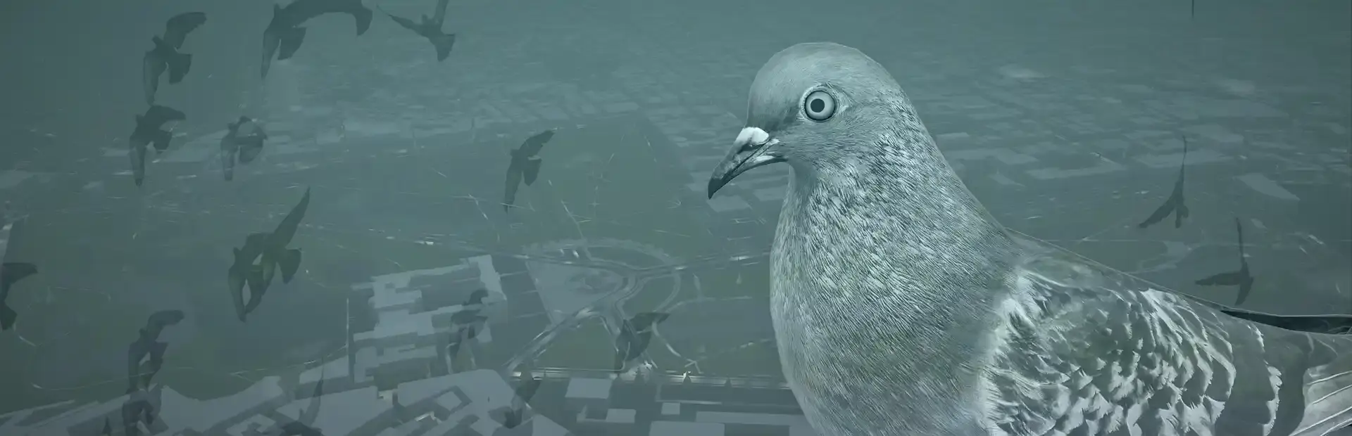 Pigeon: A Love Story background