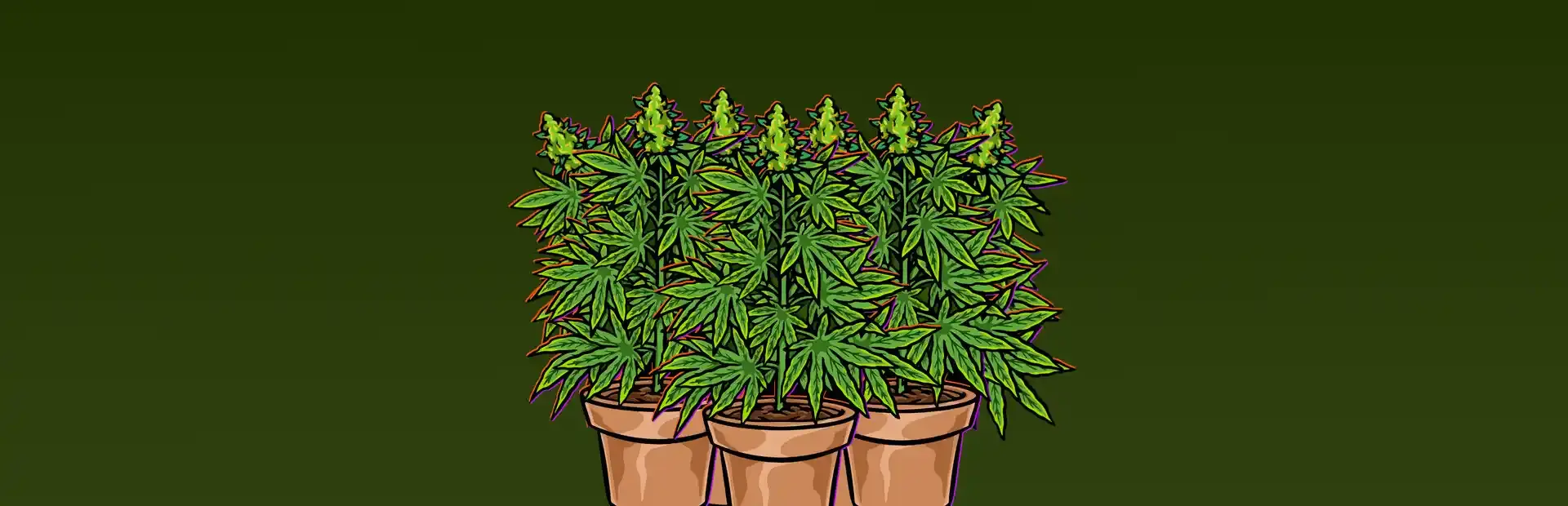 Illegal Plantation background