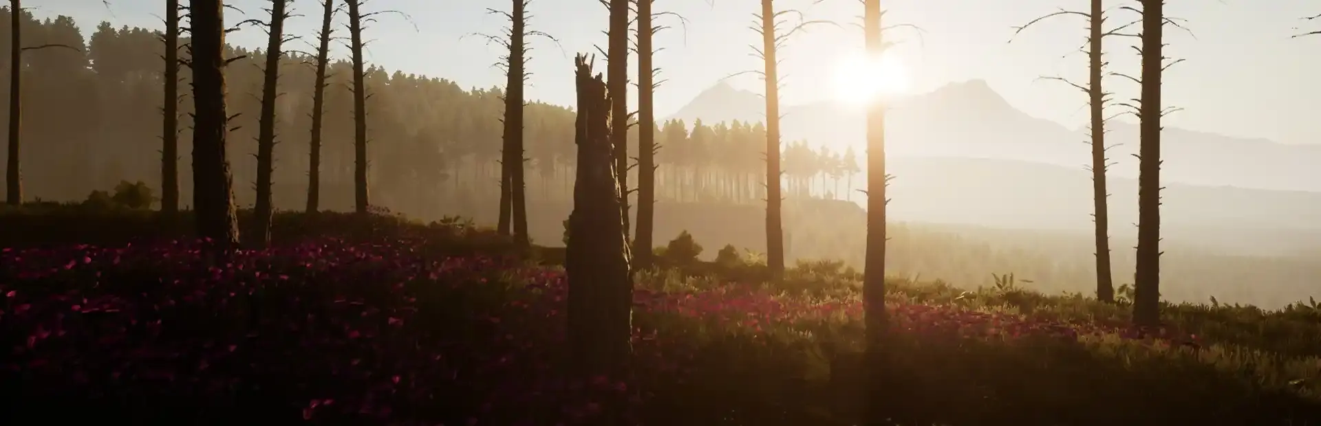 Dead District: Survival background