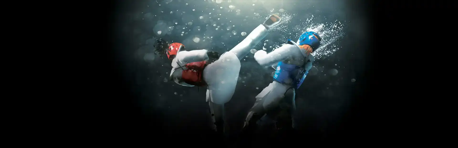 Taekwondo Grand Prix background