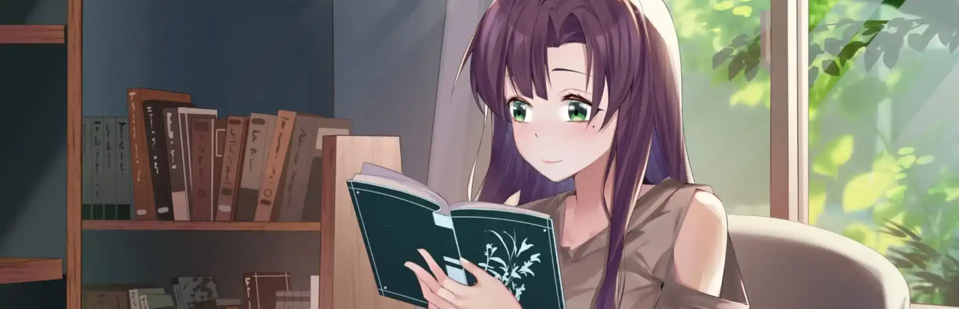 Serendipity Bookshop background