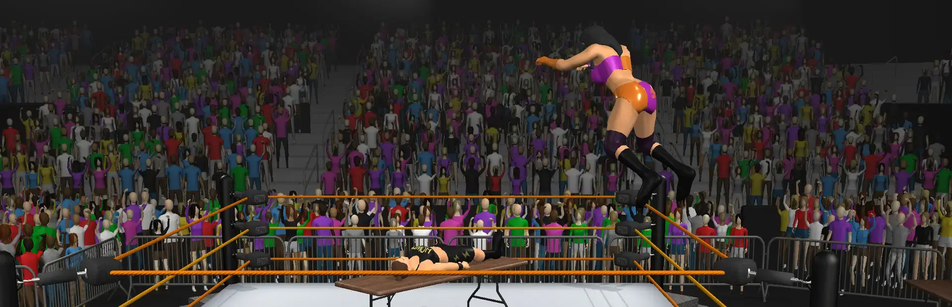Casual Pro Wrestling background