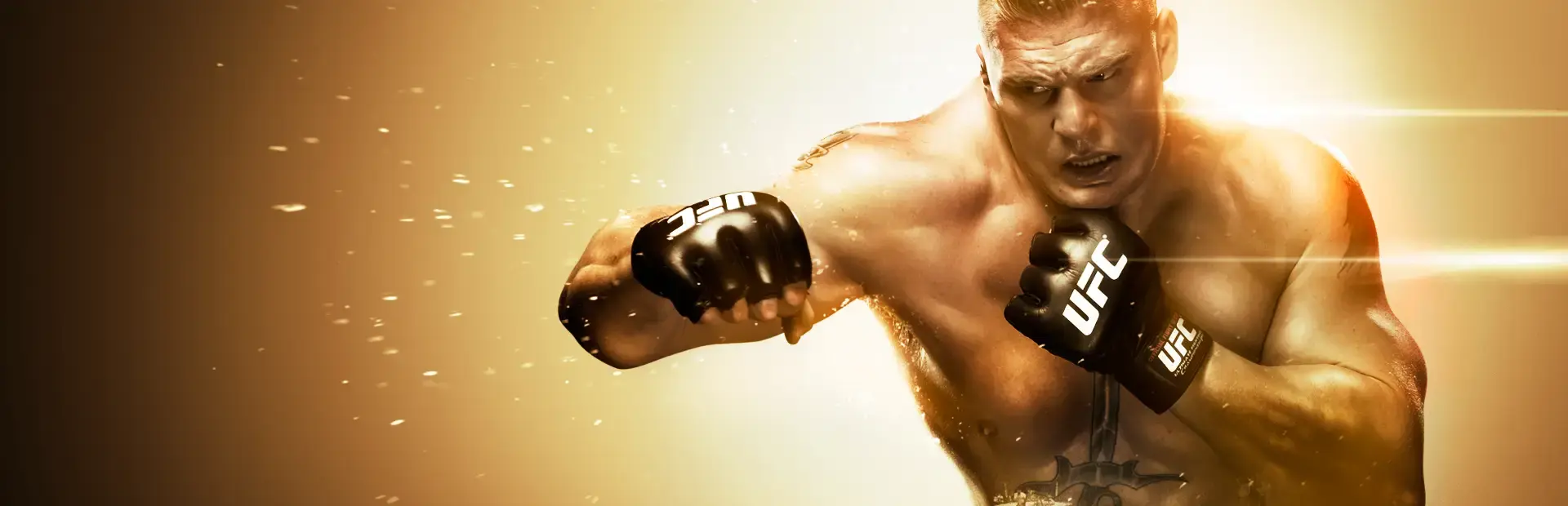 UFC Undisputed 2010 background
